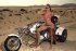 Nelly 453 Marko