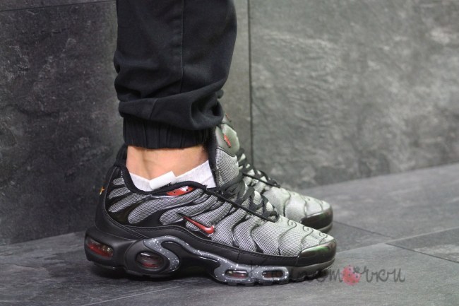Nike Air Max 95 TN Plus