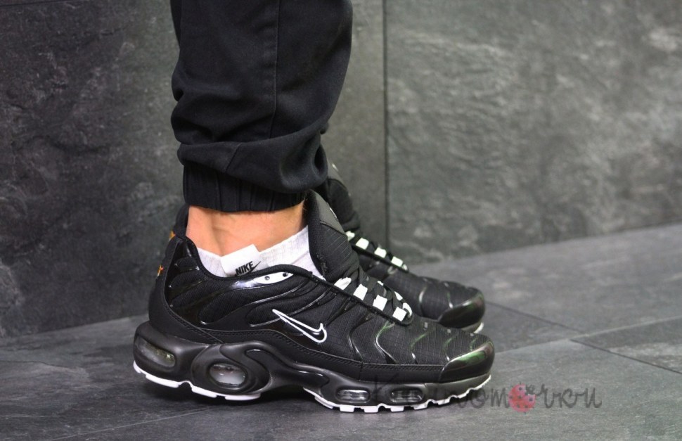 Nike Air Max 95 TN Plus