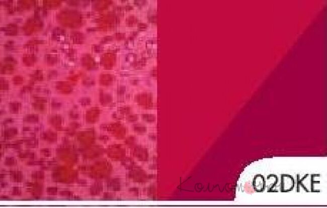 Трусики, Jessi, Feba