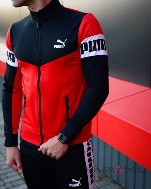 Мужской Спортивный Костюм Puma