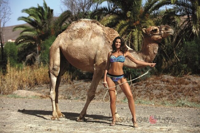 Марко Емма 472 Марко Емма 472