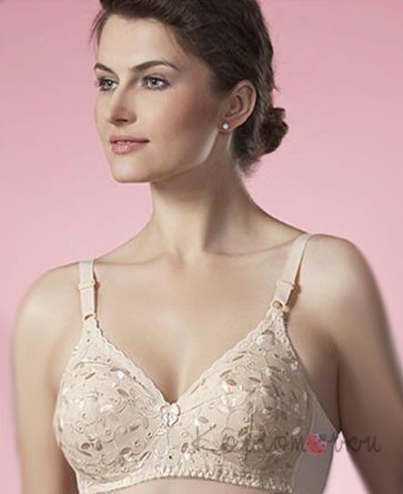 Aveline 66024 Aveline 66024