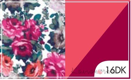 16DK02.jpg 16DK02.jpg