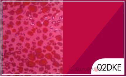 02DKEsq.jpg 02DKEsq.jpg