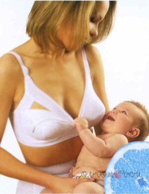 mitex_amam.jpg mitex_amam.jpg